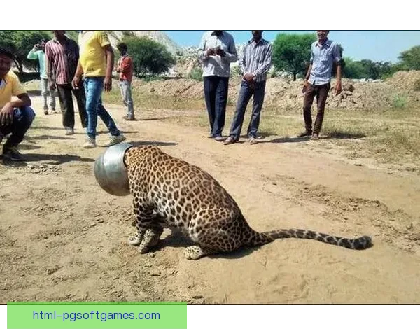 挑战极限!游泳世界纪录背后的惊人故事 挑战极限!游泳世界纪录背后的惊人故事