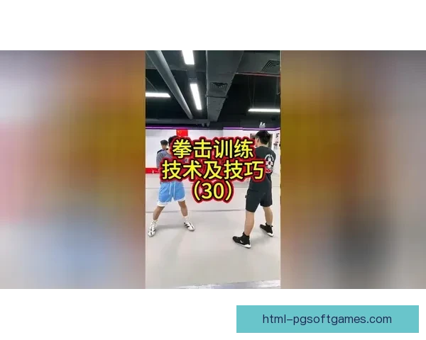 拳击技巧大揭秘，助你成为擂台之王