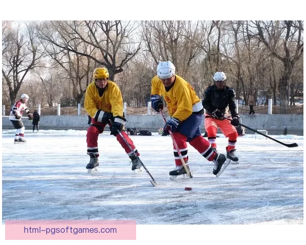 冰球教学视频：提升技能，享受比赛乐趣