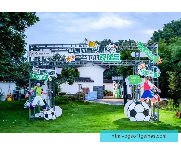 国际足球盛事：巅峰之战闪耀球场