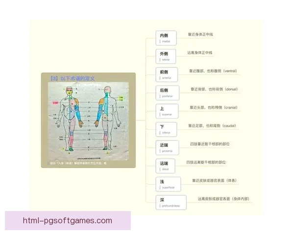 学习普拉提：初学者完全指南