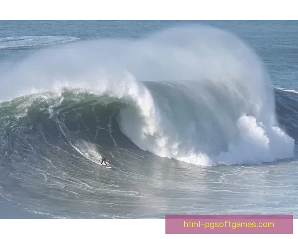 激情冲浪：挑战极限，征服浪尖