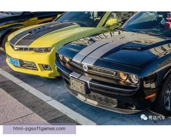 激情对决：挑战者摔跤邀请赛深度解析