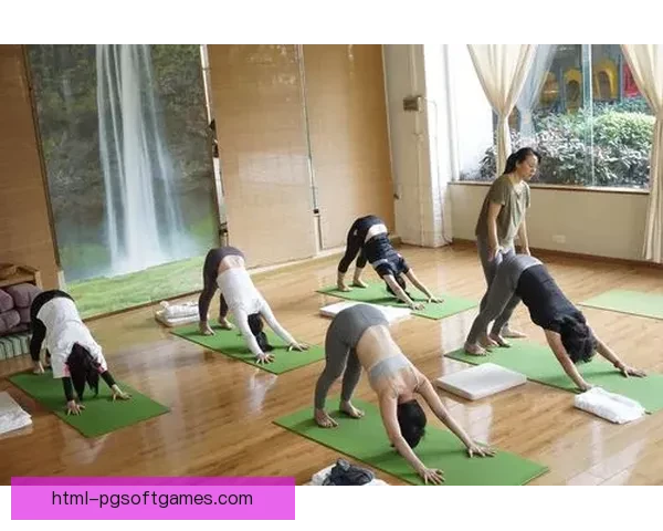 瑜伽杯赛：身心和谐之旅