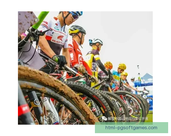 跳水训练新思路：技术提升与身体素质训练的结合方法